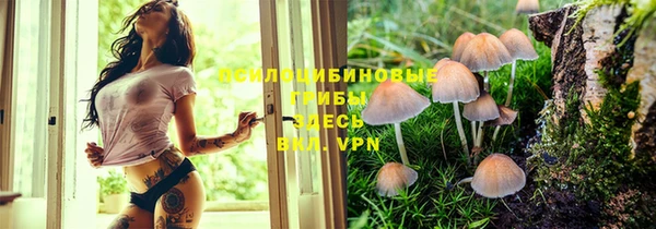 марки lsd Лабытнанги