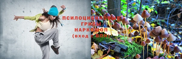 mdpv Ладушкин