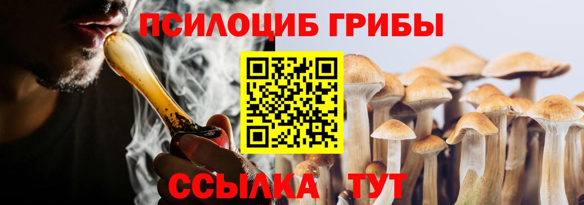 хочу наркоту  Псилоцибиновые грибы ЛСД  Вход с VPN  Чита 